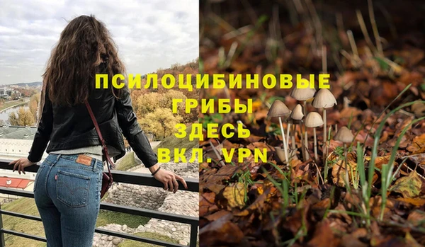 стафф Алзамай