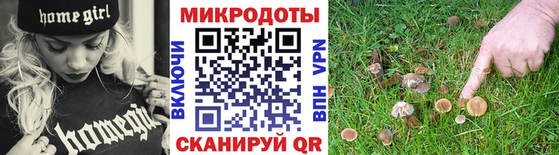 блэк спрут зеркало  Советская Гавань  Галлюциногенные грибы MAGIC MUSHROOMS  как найти наркотики 